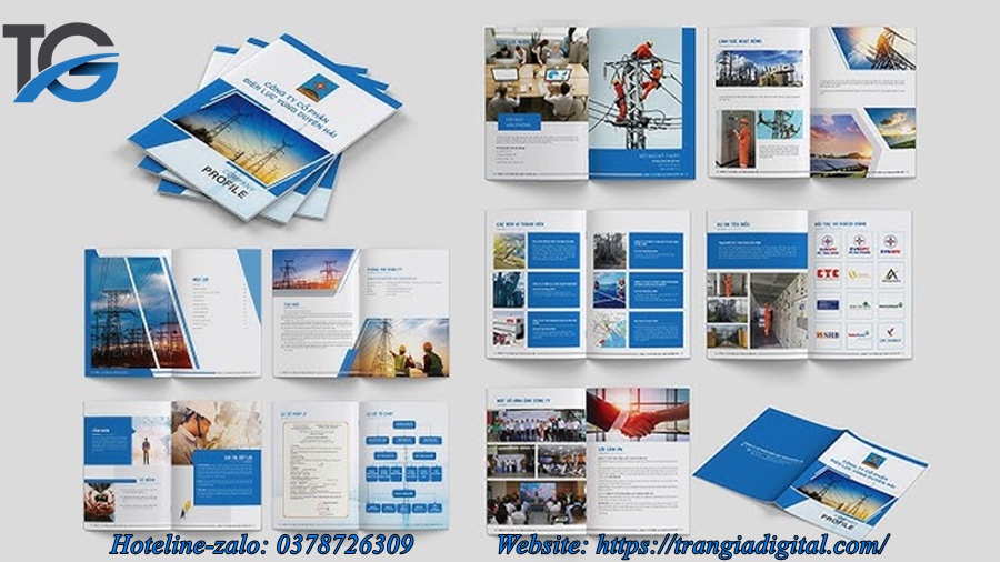 Dịch vụ thiết kế profile hồ sơ năng lực công ty