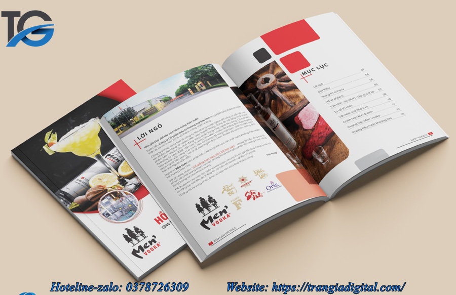 Dịch vụ thiết kế profile hồ sơ năng lực công ty