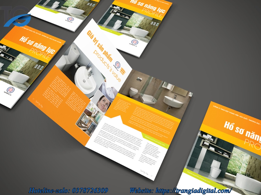 Dịch vụ thiết kế profile hồ sơ năng lực công ty