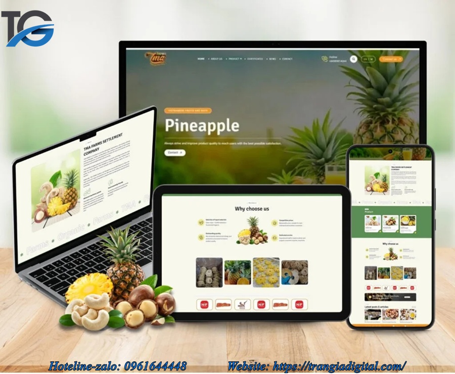 thiết kế website; thiết kế web