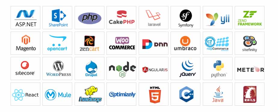 thiết kế website gia sư