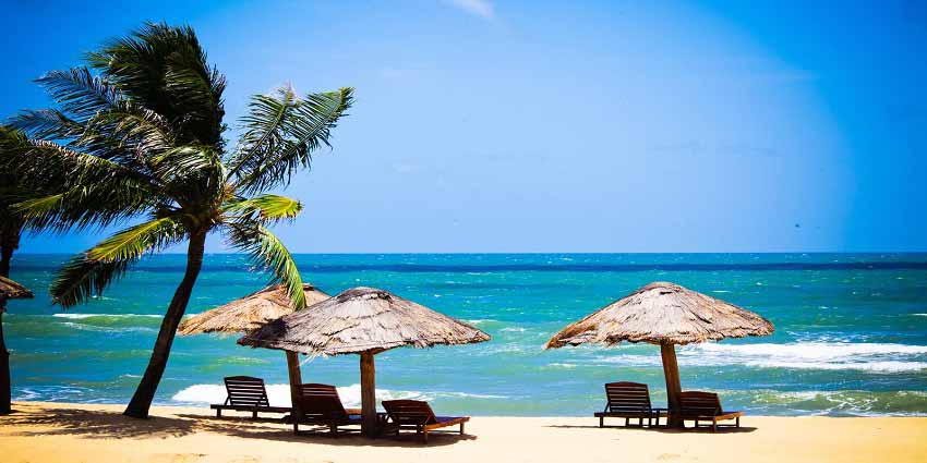 thiết kế website ngành du lịch