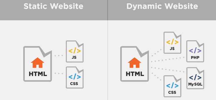 thiết kế website dịch vụ