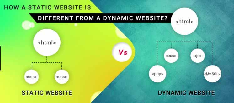 thiết kế website dịch vụ
